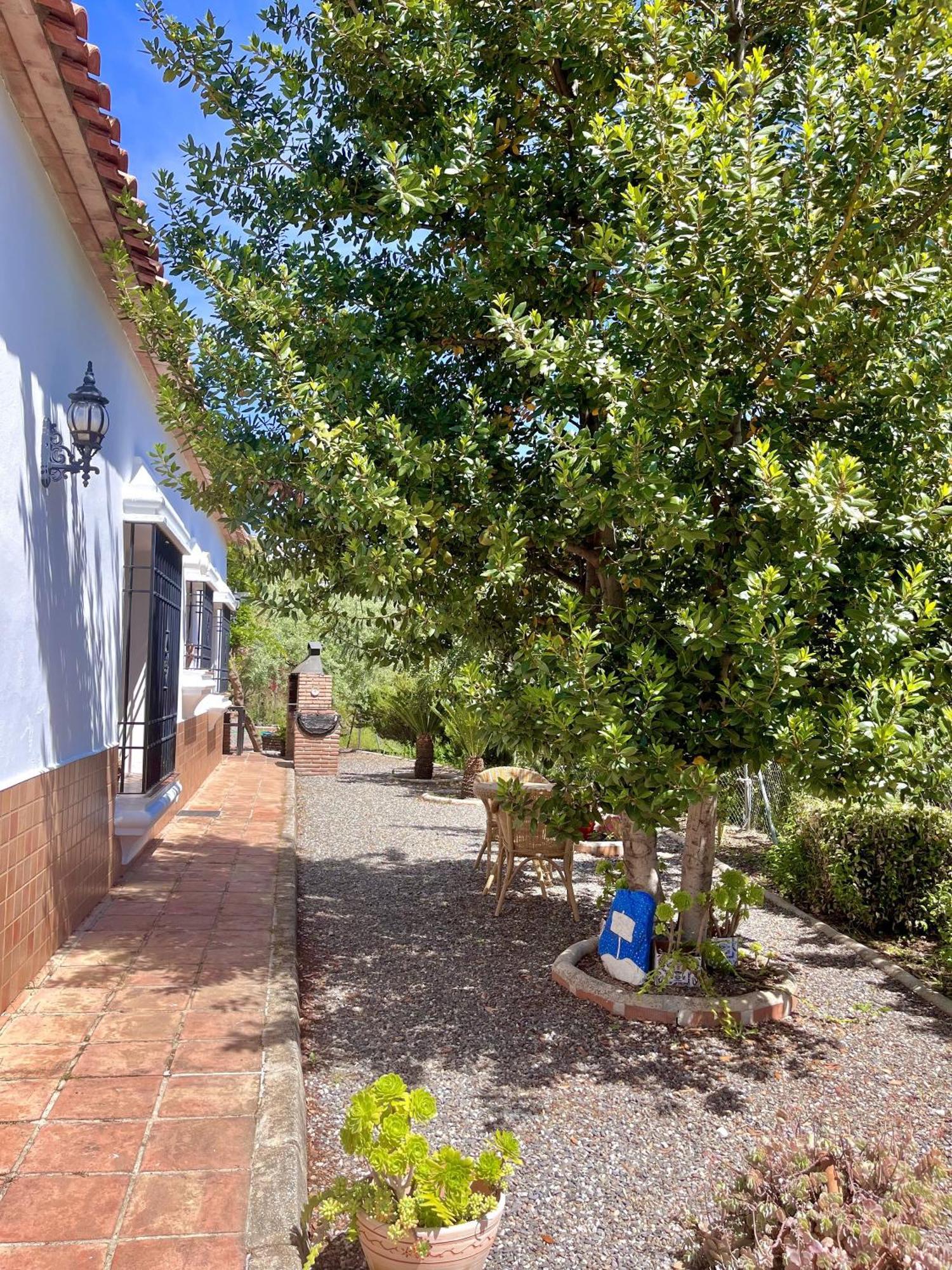 Finca Rural Mazuqueto Jubrique Zewnętrze zdjęcie